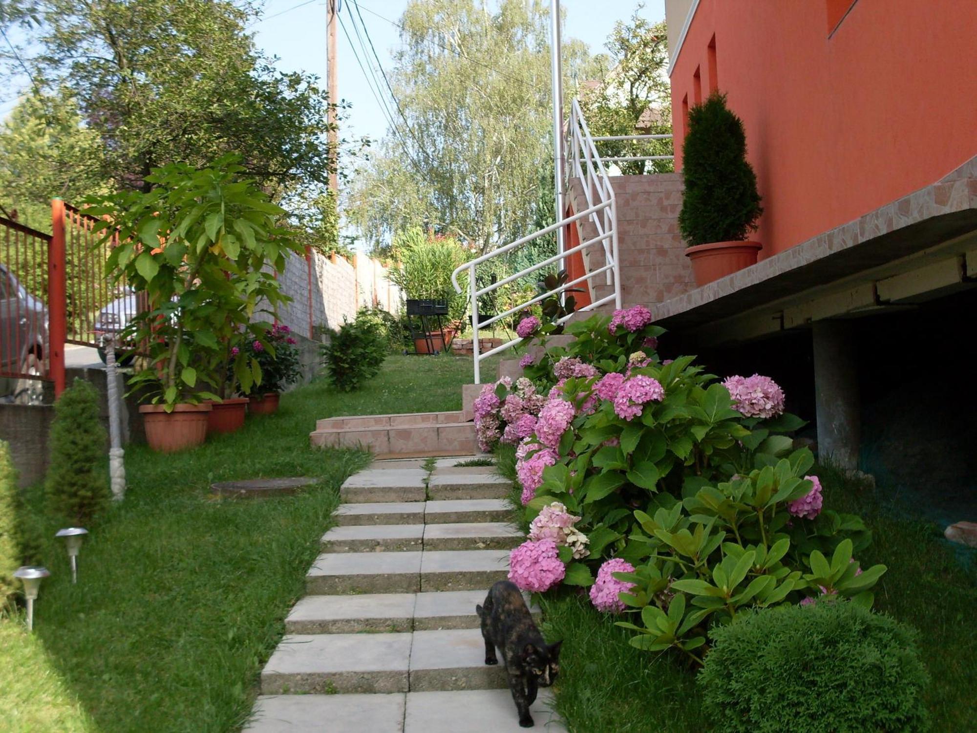 Éden Vendégház Miskolc Extérieur photo